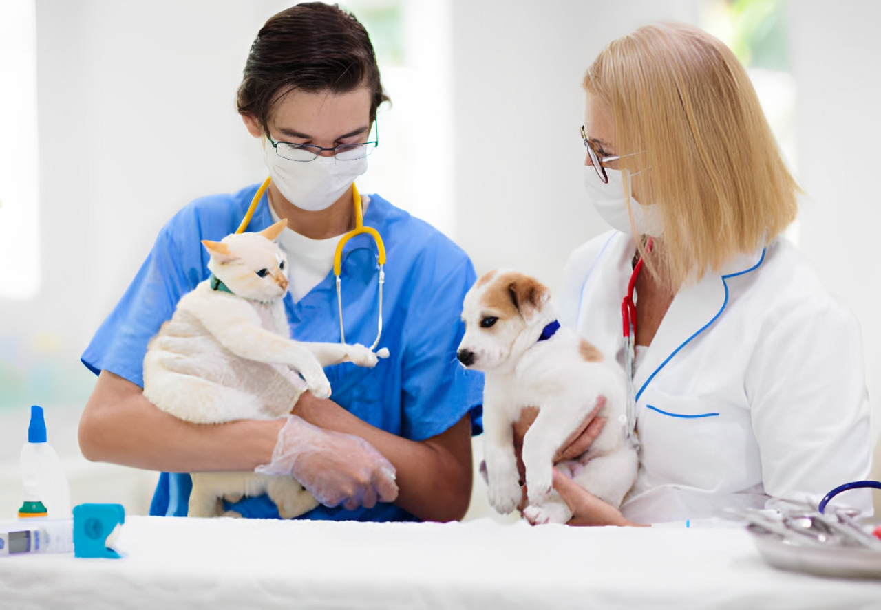 animal care hospital in Mississauga