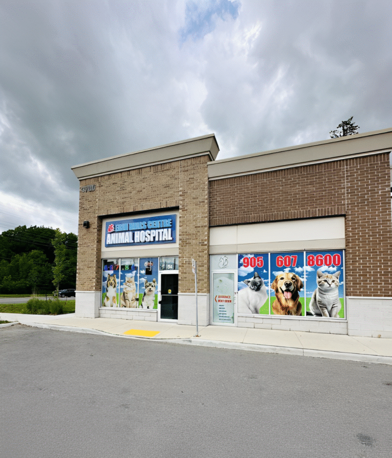 Erin Centre Animal Hospital Mississauga