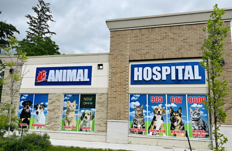 Erin Centre Animal Hospital Mississauga