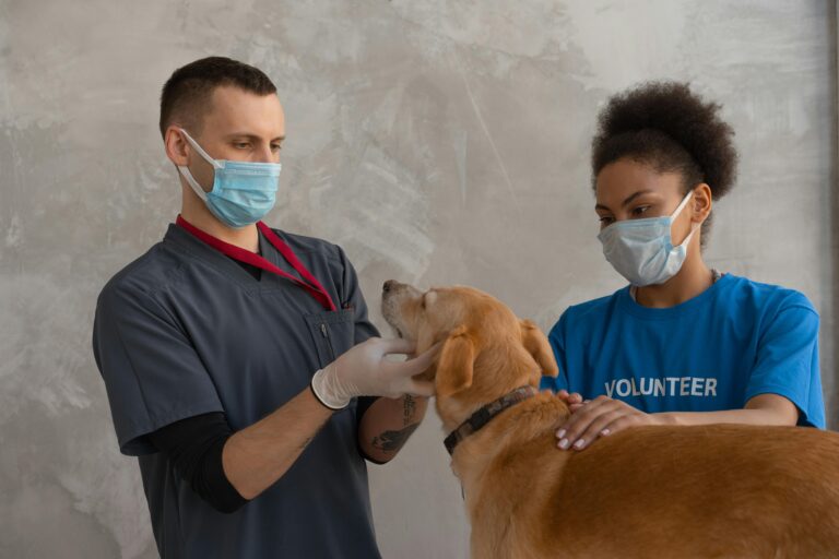 animal hospital in Mississauga